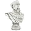 Design Toscano Bust Planters of Antiquity Statues: The Philosopher Socrates EU1010